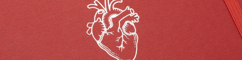 Soutěž o zápisník Cognitive Surplus